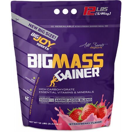 BIGJOY BigMass Gainer 5.44 Kg Çikolata / Çilek