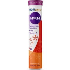 Wellcare Immune 15 Efervesan Tablet