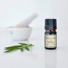 Homemade Patchouli Uçucu Yağı(Pogostemon cablin)