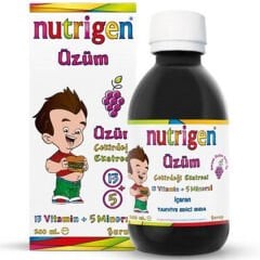 Nutrigen Üzüm Çekirdeği Ekstreli Vitamin-Mineral Şurubu 200 ml