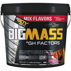 BIGJOY BigMass Gainer GH Factors Çikolata - Çilek - Muz Çilek 3 Kg