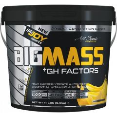 BIGJOY BigMass Gainer GH Factors Çikolata - Çilek - Muz Çilek 3 Kg