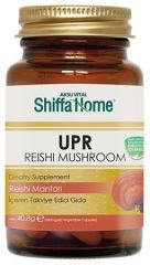 Shiffa Home UPR Reishi Mantarı Kapsül