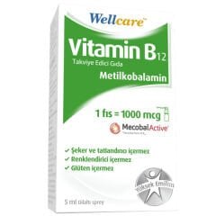 Wellcare Metilkobalamin Vitamin B12 Dil Altı Spreyi 5 ml
