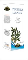 Teatrio Şampuan 200 ml