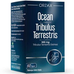 Ocean Tribulus Terrestris 60 Kapsül